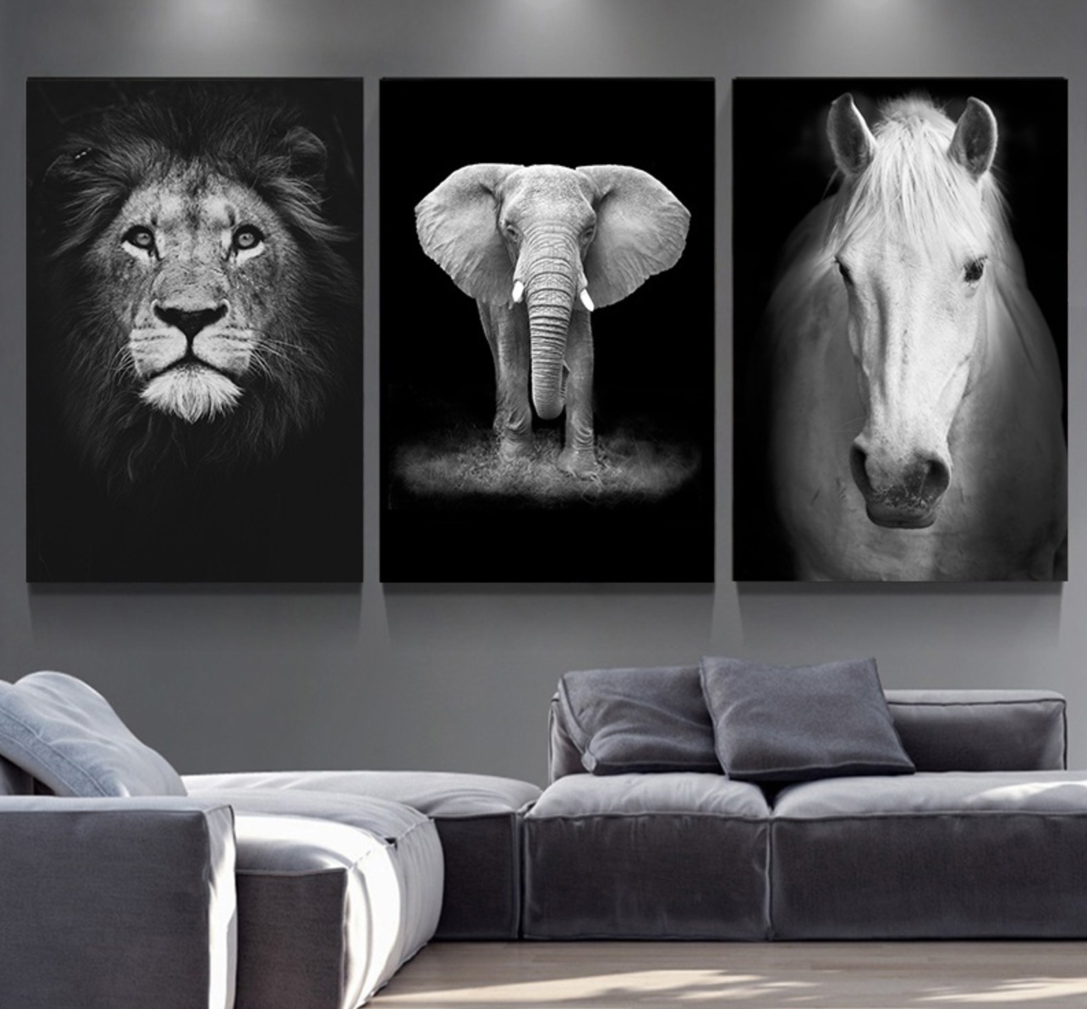 Toiles posters animaux en noir et blanc - /medias/157553549845.jpg