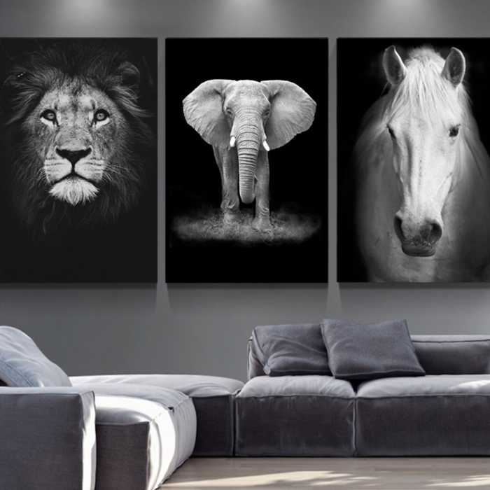 Toiles posters animaux en noir et blanc
